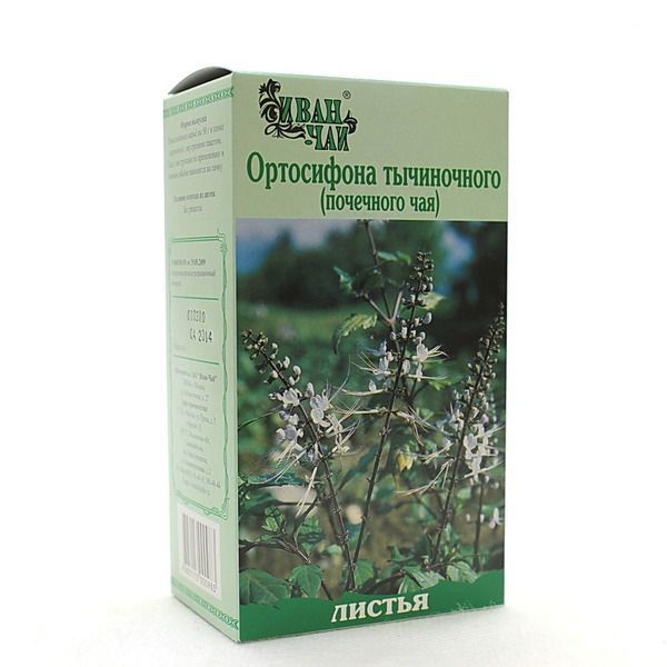 Ортосифона тычиночного (почечного чая) листья 1.5г пор. №20 ф/п.