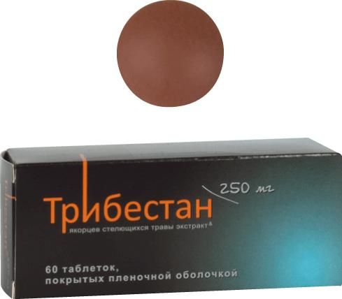 Трибестан 250мг таблетки покрытые плёночной оболочкой №60